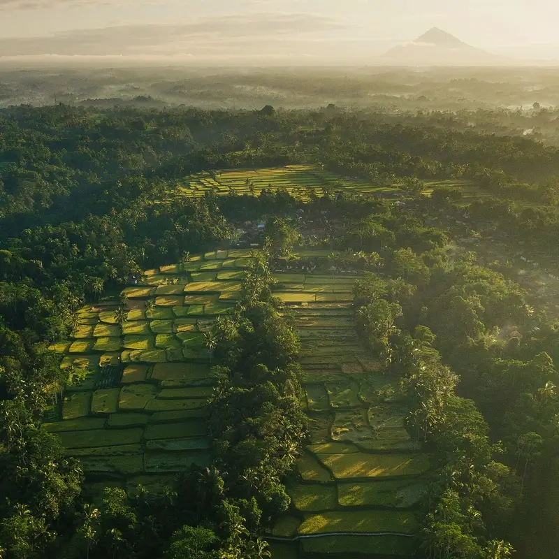 Indonesia